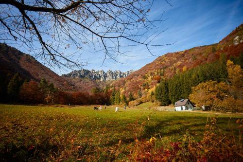 Agroturismo Le Terre Di Gu