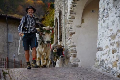 Agroturismo Le Terre Di Gu