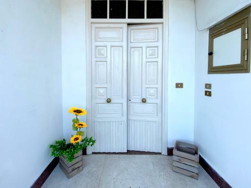 Apartamento Giann� Holiday Home - Vesuvio/pompei