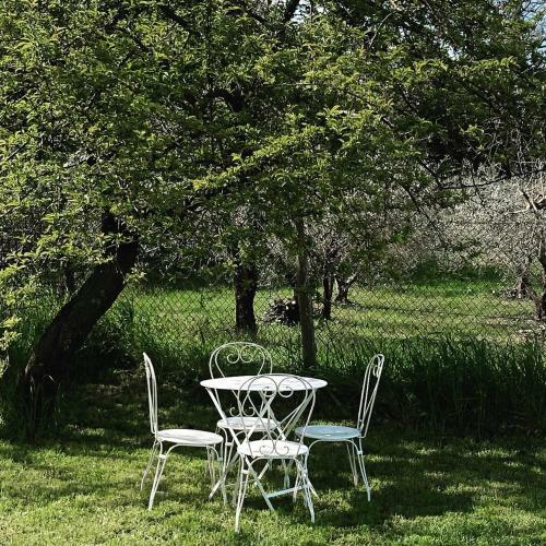 Hostal Lemon Tree Boutique Guest House