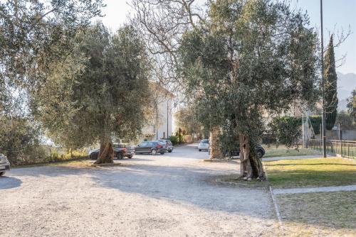 Apartamento La Terrazza Del Lago