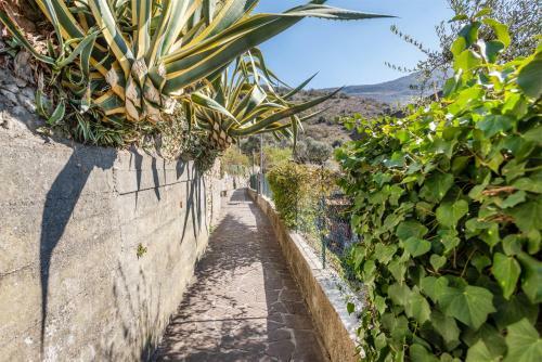 Apartamento La Terrazza Del Lago