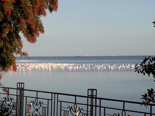 Apartamento Appart Gyptis R�sidence Chahrazad