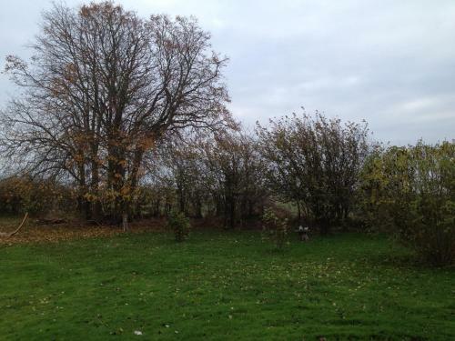 Bed & Breakfast Holmegaarden B & B-k