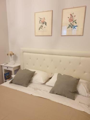 B&B Greco Home