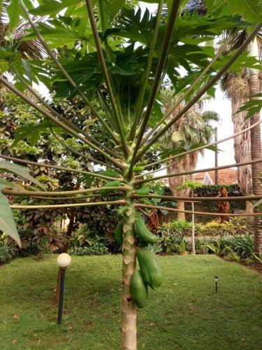 Villa For Rent In Kampala Najjera