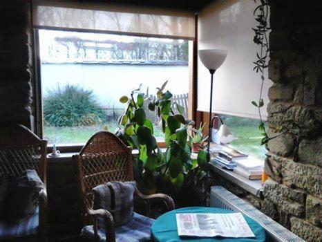 Hostal Molinos De Antero