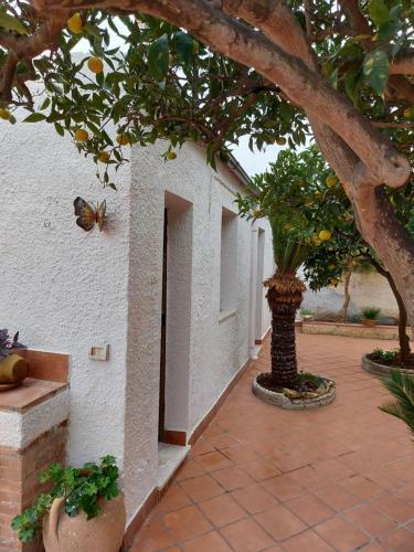 Casa Paola