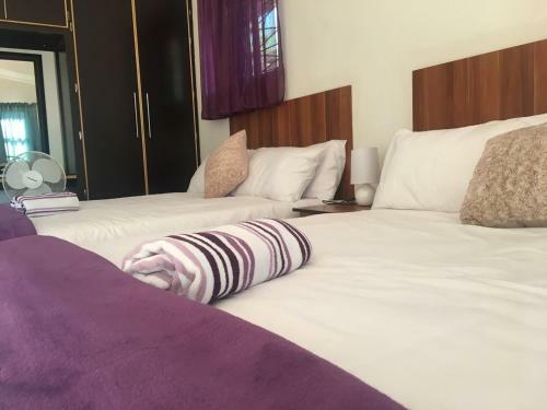 Hostal Purple Rain Guest House
