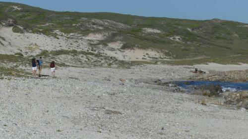Oyster Catcher Stay And Explore
