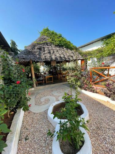 Bed & Breakfast Avocado House Nungwi