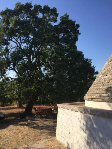 Trulli Di Mercedes