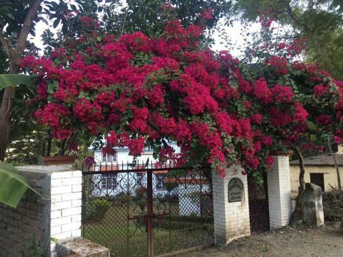 Lodge Rudraksha Cottage & Resort