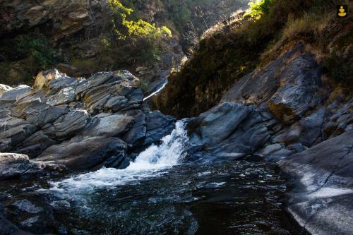 Livingstone Camping Site, Bhimtal