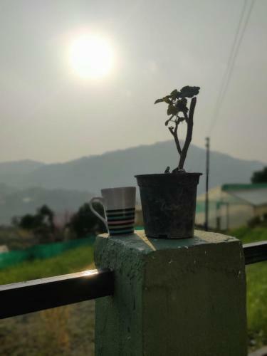 Baakhei Campsite Homestay