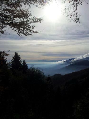 B&B Oasi Fiorita