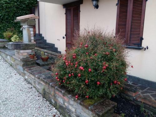 Agroturismo Agriturismo Il Melo