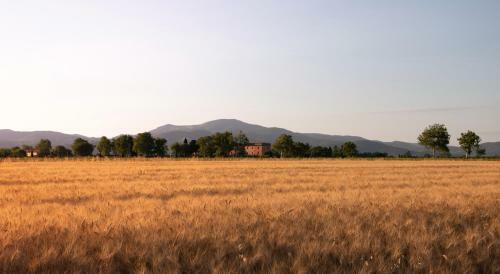 Agroturismo Agriturismo Il Pescinone