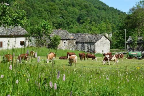 Agroturismo Countryrooms Valchiusella
