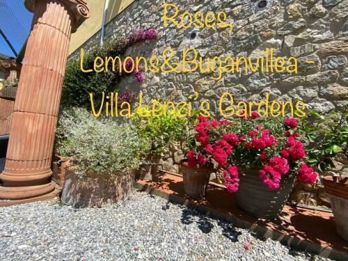 Bed & Breakfast Lenzi?s Bottega And Gallery Suites