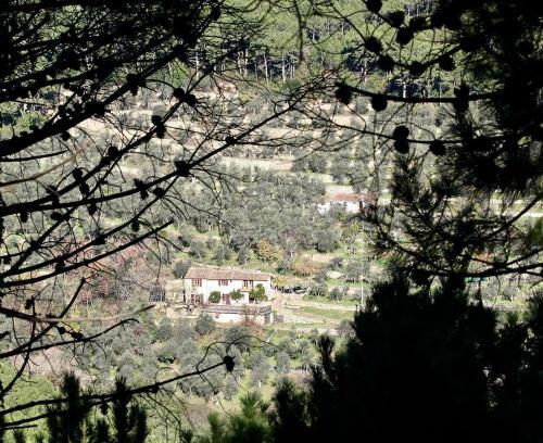 Apartamento Casa Rurale Selvadolivo
