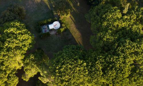Bubble Room Under The Tuscan Stars Bubble