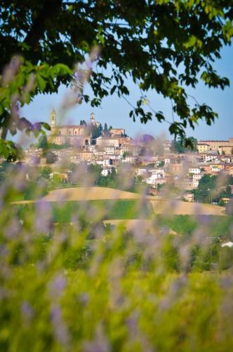 Bed & Breakfast Belcasale