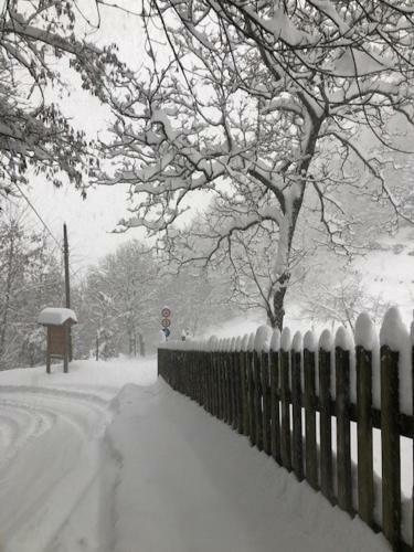 Bed & Breakfast Maso Zont