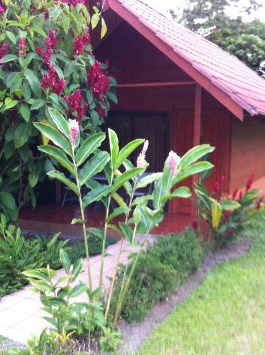 Hotel Villas Vista Arenal