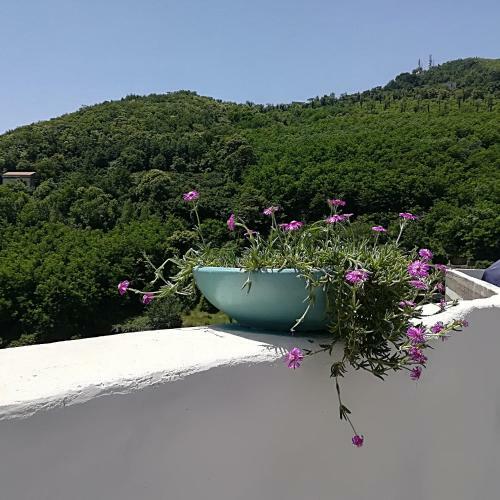 Bed & Breakfast Il Covo Delle Civette