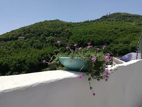 Bed & Breakfast Il Covo Delle Civette