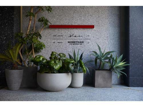 Hotel The Knot Hiroshima - Vacation Stay 48550v