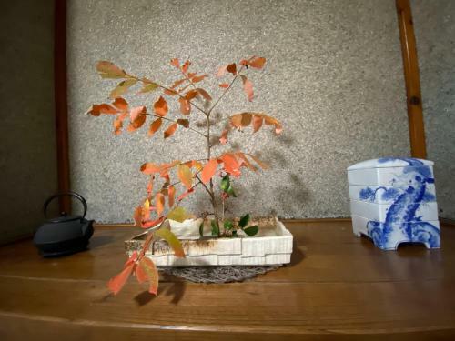 Tabinoya - Vacation Stay 69884v