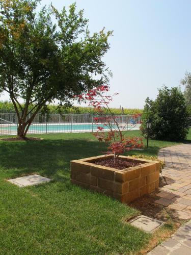 Agroturismo Agriturismo Bortolino