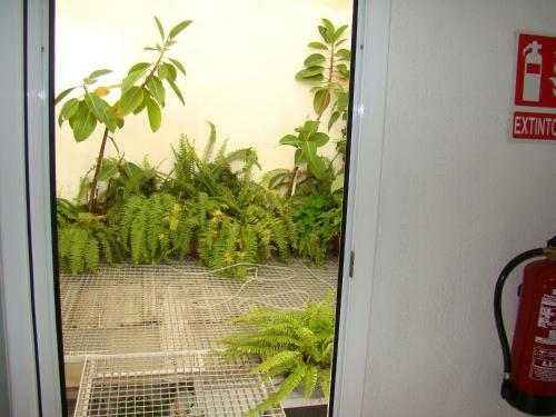 Hostal Platja