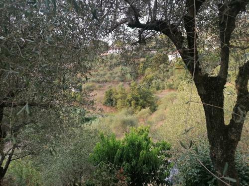Apartamento Nonna Paola Guest House