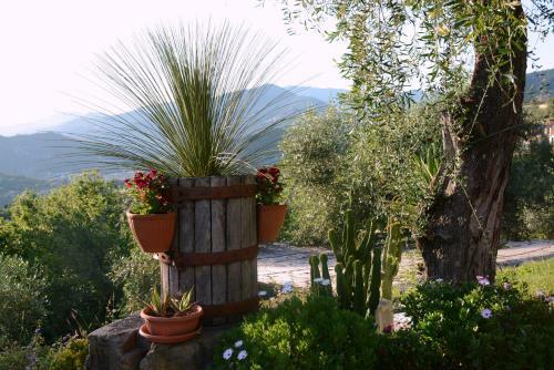 Bed & Breakfast La Gatta Sul Sentiero