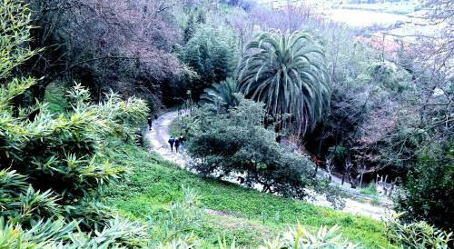 Bed & Breakfast The Italian Riviera