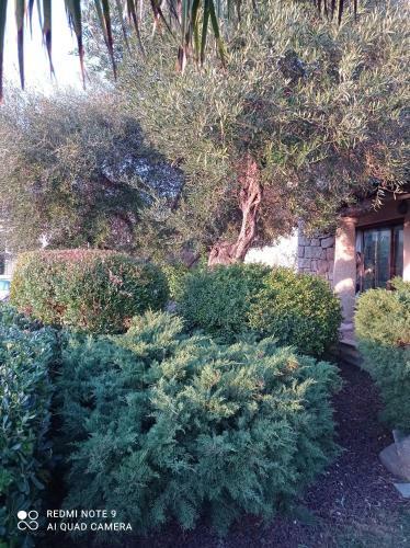 Bed & Breakfast La Forma Dell'acqua