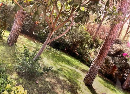 Villa Celeste Riva Dei Pini Santa Margherita Di Pula