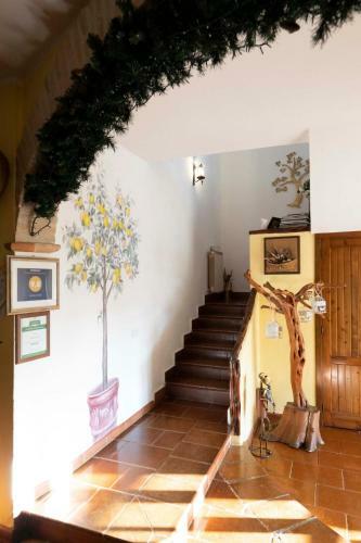 Sa Domu Sarda Suites - Bed & Breakfast