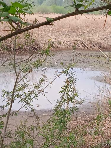 Apartamento Tra La Stazione E Il Lago