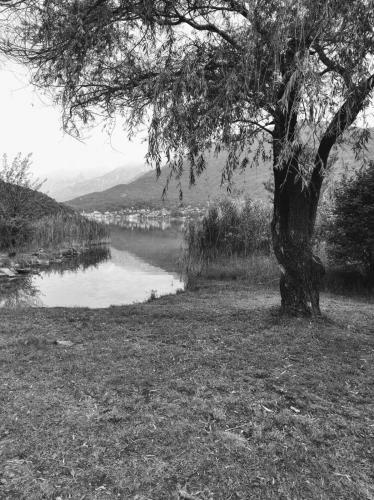Apartamento Tra La Stazione E Il Lago