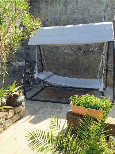 Casa Volcanalia