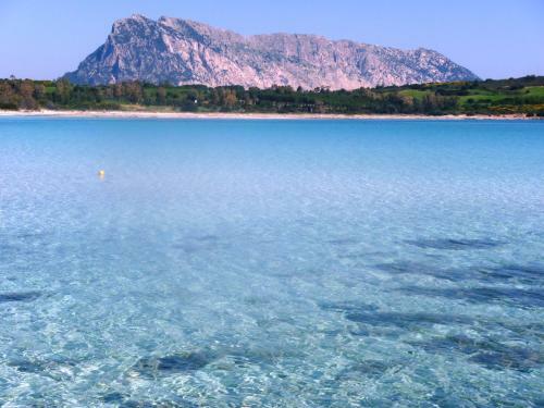 Apartamento Appartamento In Residence Fronte Mare