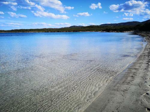 Apartamento The White Sheep - Porto Istana