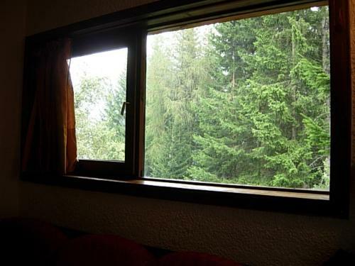 Immobiliare Folgarida Apartments