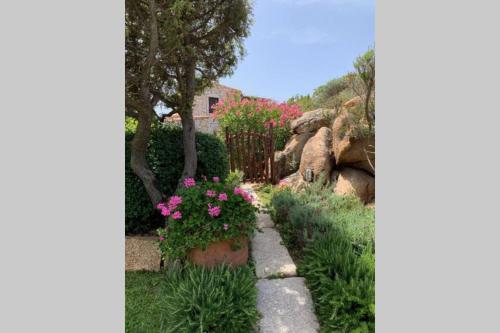 Living Smeralda, 360� Panoramic View