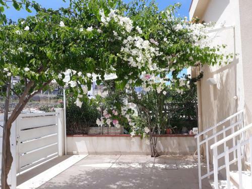 Apartamento Castellammare Holiday
