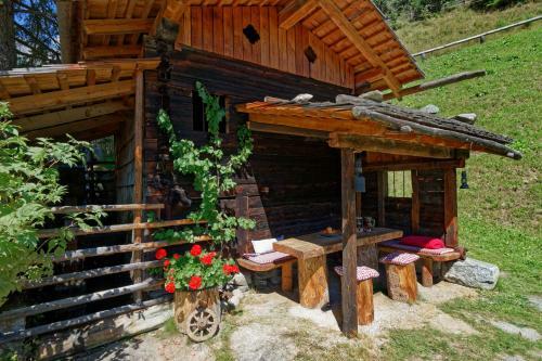 Agroturismo Enzianhof - Nature Apartments
